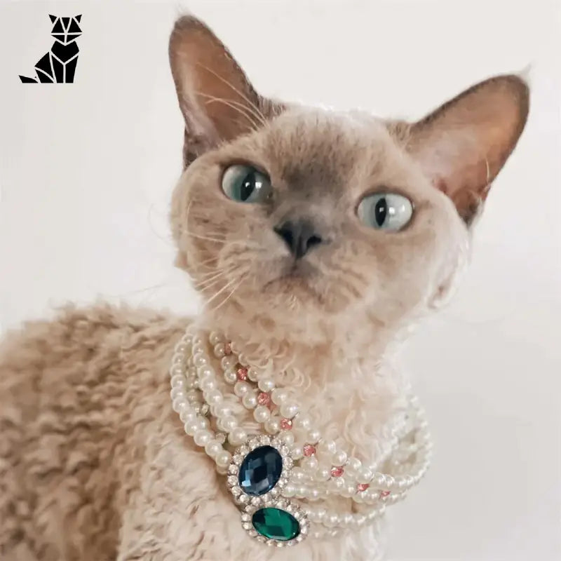 Collier pour chat avec perles : Collier de luxe pour chat pour les occasions spéciales, offrant une touche d’élégance