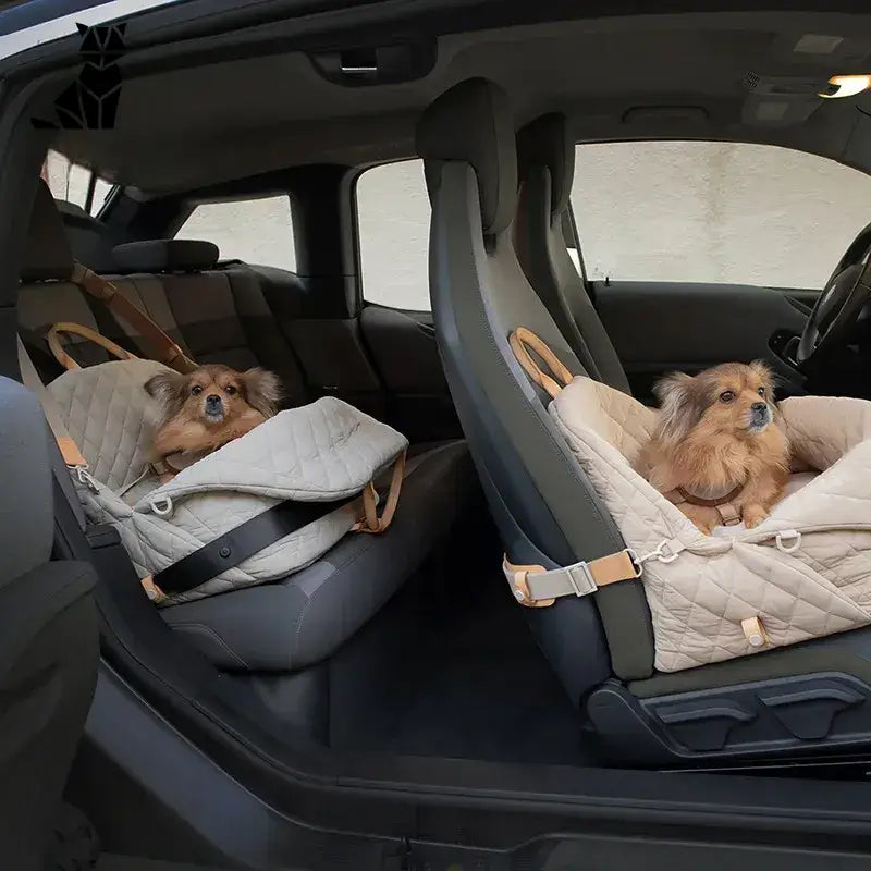 Deux petits chiens profitent du sac de transport et du lit de voyage pour chiens sur la banquette arrière d’une voiture